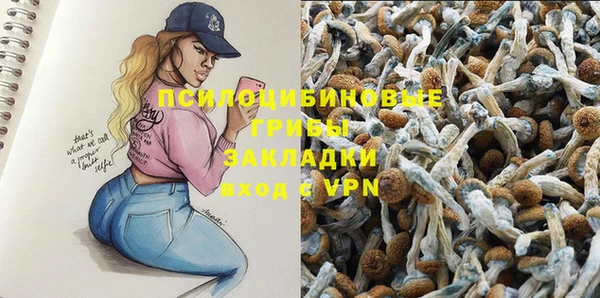 мдма Заводоуковск