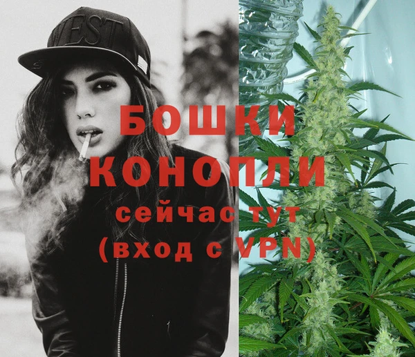 молекула духа Заволжск