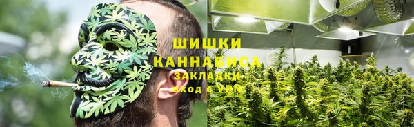 мдма Заводоуковск