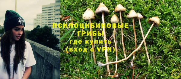 молекула духа Заволжск