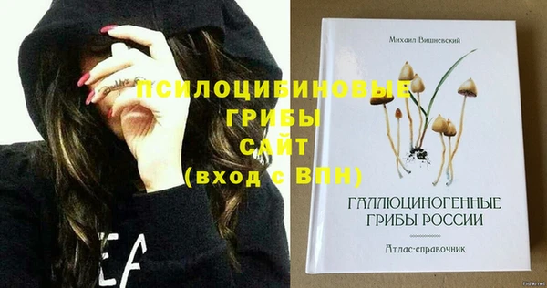 мдма Заводоуковск