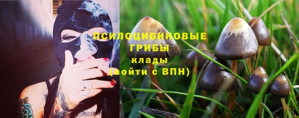 спиды Заволжье