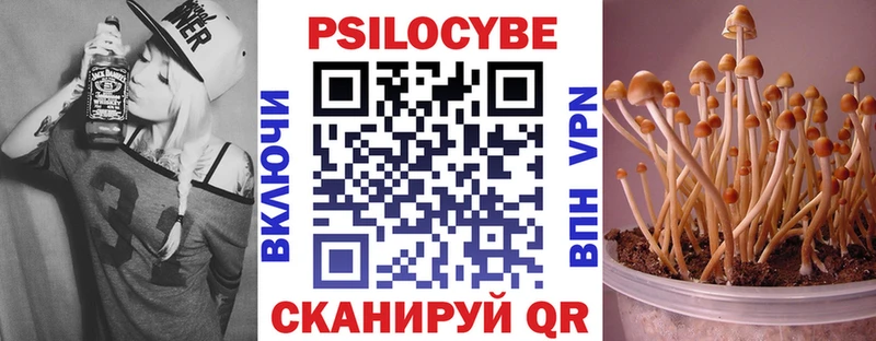 сколько стоит Меленки Псилоцибиновые грибы GOLDEN TEACHER
